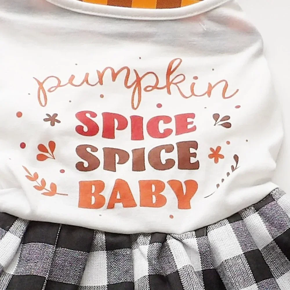 Woof Pet Apparel Pumpkin Spice Spice Baby Dog Dress Size Large NEW